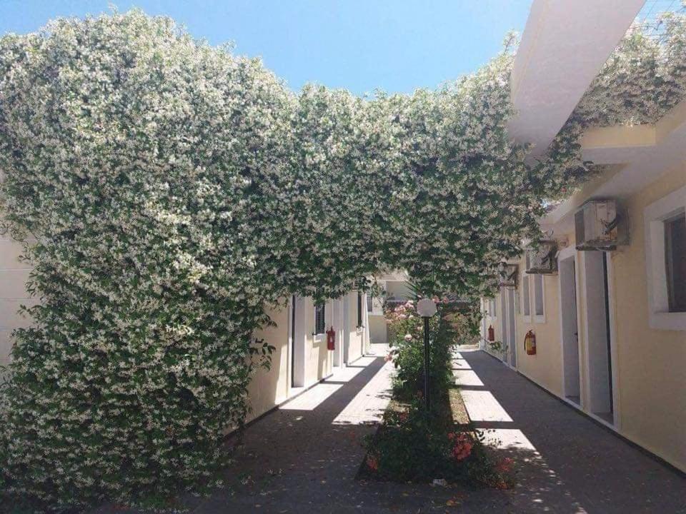 Monika Hotel Sidari Sidárion Exterior foto